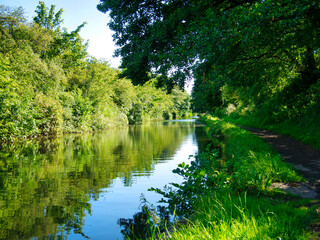 Halsall Cutting on the Leeds to Liverpool canal in Lancashire, UK - a quiet, tranquil section of the canal. Taken on a calm sunny day in summer.