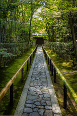 Chemin au Japon