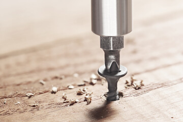 screwdriver screw in a wood oaks plank