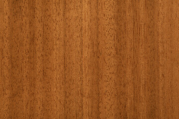 texture of an expensive tree