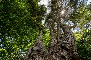 Fototapety na wymiar - Fototapeta24.pl