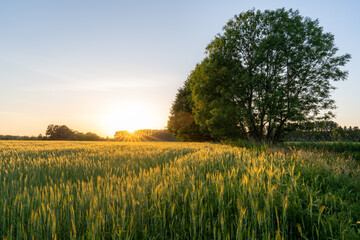 Sint-Oedenrode, Netherlands - mei 2020