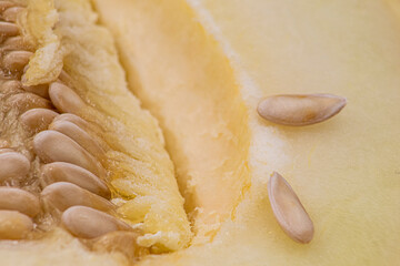 melon close up 