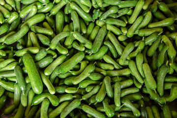 Cucumber, Vegetable Garden, Food, Basket, Vegetable