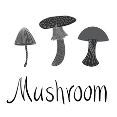 Isolated vector design set of lined mushrooms on white background. 