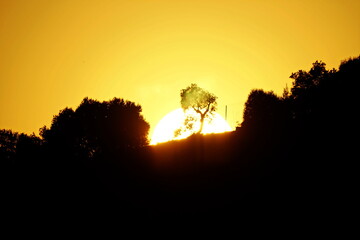 atardecer