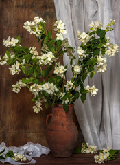 Fototapeta na wymiar Tender jasmine branches in a jug on a wooden table against the wall. Still life.
