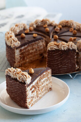 Obraz na płótnie Canvas Daquoise meringue cake with almond, hazelnut, chocolate ganashe and marzipan