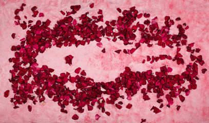 red rose petals on pink fur