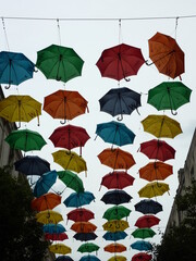 Umbrella project