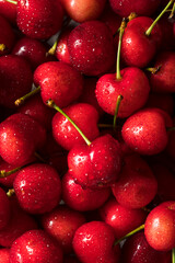 Raw Red Organic Cherries