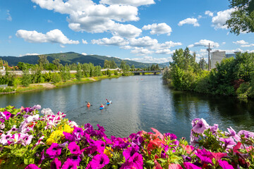 Fototapeta na wymiar A group of kayakers enjoy a beautiful summer day on Sand Creek River and Lake Pend Oreille in the downtown area of Sandpoint, Idaho, USA