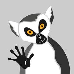 Cartoon black and white funny lemur yellow eyes looks right at you and waves his paw. Animal unusual interesting character greets the audience. Concept design isolated on gray background. 
