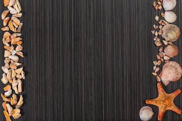 Seashell on dark wooden surface. Copy space. Space for text. Striped black background.