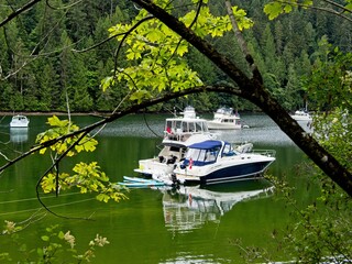 Yachts moored in Tod Inlet