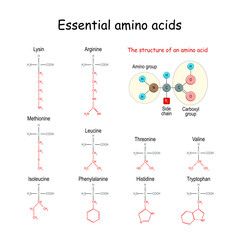 Fototapeta na wymiar Essential amino acid or indispensable amino acid. chemical structural formula