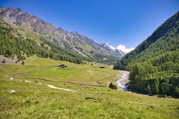 Fototapeta na wymiar Val di fosse Alto Adige Bolzano senales e dolomiti