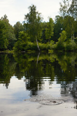 Summer forest river reflection landscape. Forest river reflection view. Forest river landscape. Green forest river view