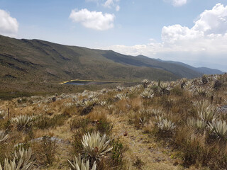Chingaza National Natural Park