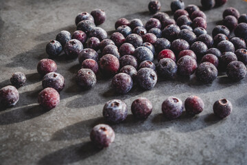 frozen blueberries on a slate