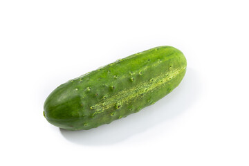 Organic Cucumber isolated on white background. Cucumis sativus
