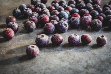 frozen blueberries on a slate