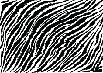 black and white print of wild animals vector leopard, Zebra