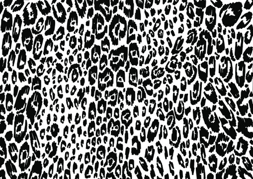 black and white print of wild animals vector leopard, Zebra