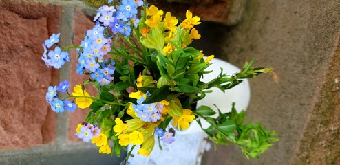 spring flowers on the wooden background