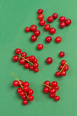 Red currants on green background
