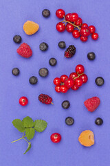 Still life of multi-colored berries on purple background. Red currants raspberries red and yellow, blueberries green mint.