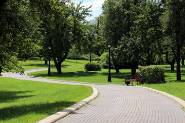 green alley background park with the trees and bush and street lamp wallpaper landscape