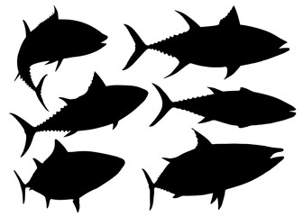 Tuna fish in the set.