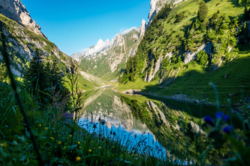 Naklejka na ściany i meble Mountain's Reflections in a crystal clear alpine mountain lake (Fälensee) in Appenzell, Switzerland