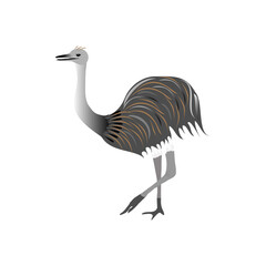 Ostrich nandu stands on a white background. Animals of South America.