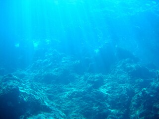 Fototapeta na wymiar Unterwasserwelt