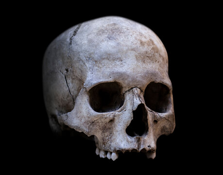 A human scull isolated on black