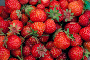 Fresh strawberry berries close-up. Garden berry. Summer harvest. Tasty juicy and healthy summer berries