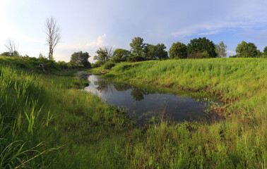 Oxbow lake in the valley of the Vistula river near Warsaw, Mazovia, Poland © Jan Piotr