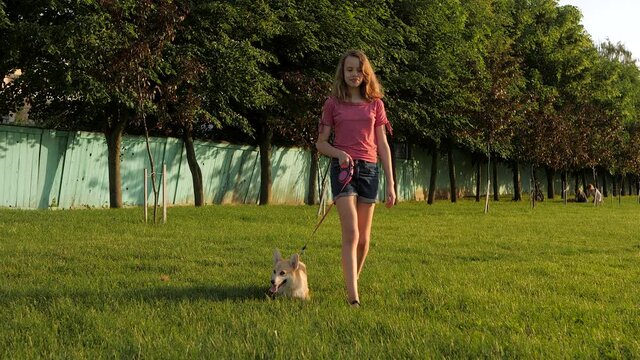Teenage girl leads welsh corgi pembroke dog on a leash outdoors in summer. Spending time outdoors with pet, having fun with dog