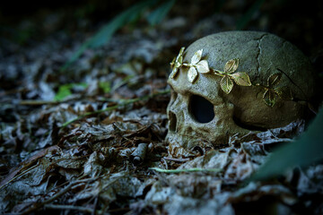 King Queen Skull Crown