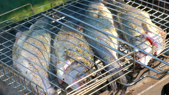 Sea bass or grouper fish grilled over charcoal. Close-up shot cooking seafish with aromatic spices on barbecue grill plate. Baking roasting marinated delicious seafood. BBQ  in summer garden outdoors 