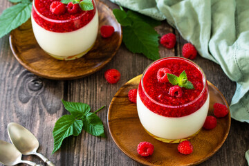 Raspberry Panna cotta with raspberry jelly, Italian dessert, homemade cuisine. Copy space.
