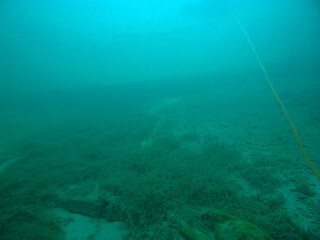 Unter Wasser
