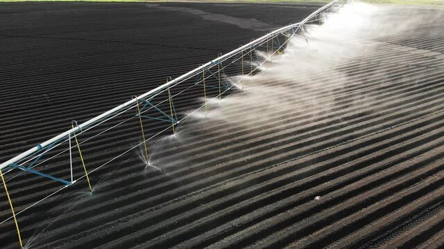 a center pivot sprinkler used to irrigate a potato field in spring. agricultural sprinkler, irrigation equipment aerial view. water, farming and agriculture industry.