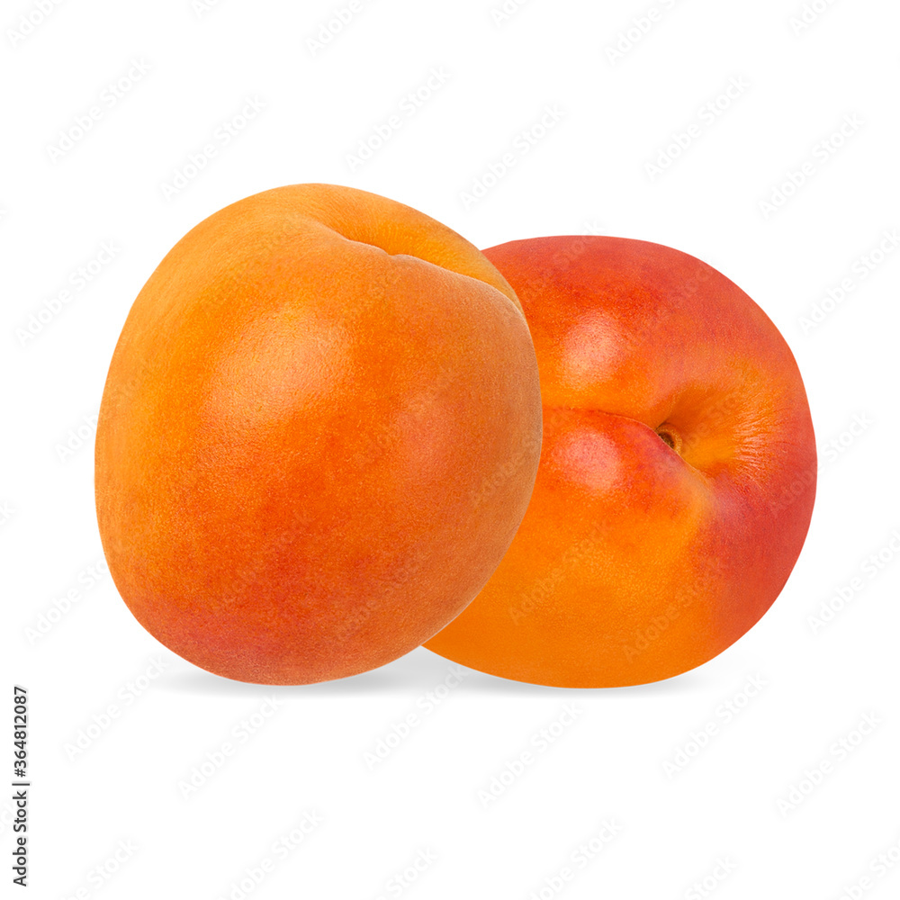 Wall mural apricots isolated on white background with clipping path