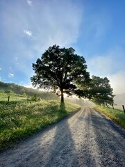 road in the countryside