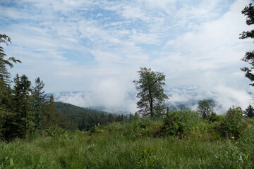 Obraz premium beautiful nature landscape in beskydy in eastern bohemia