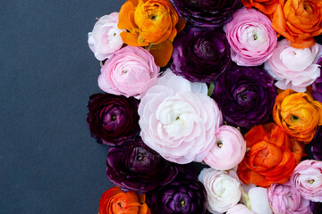 Flowers flat lay composition