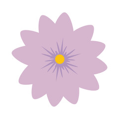 purple flower design, natural floral nature plant ornament garden decoration and botany theme Vector illustration